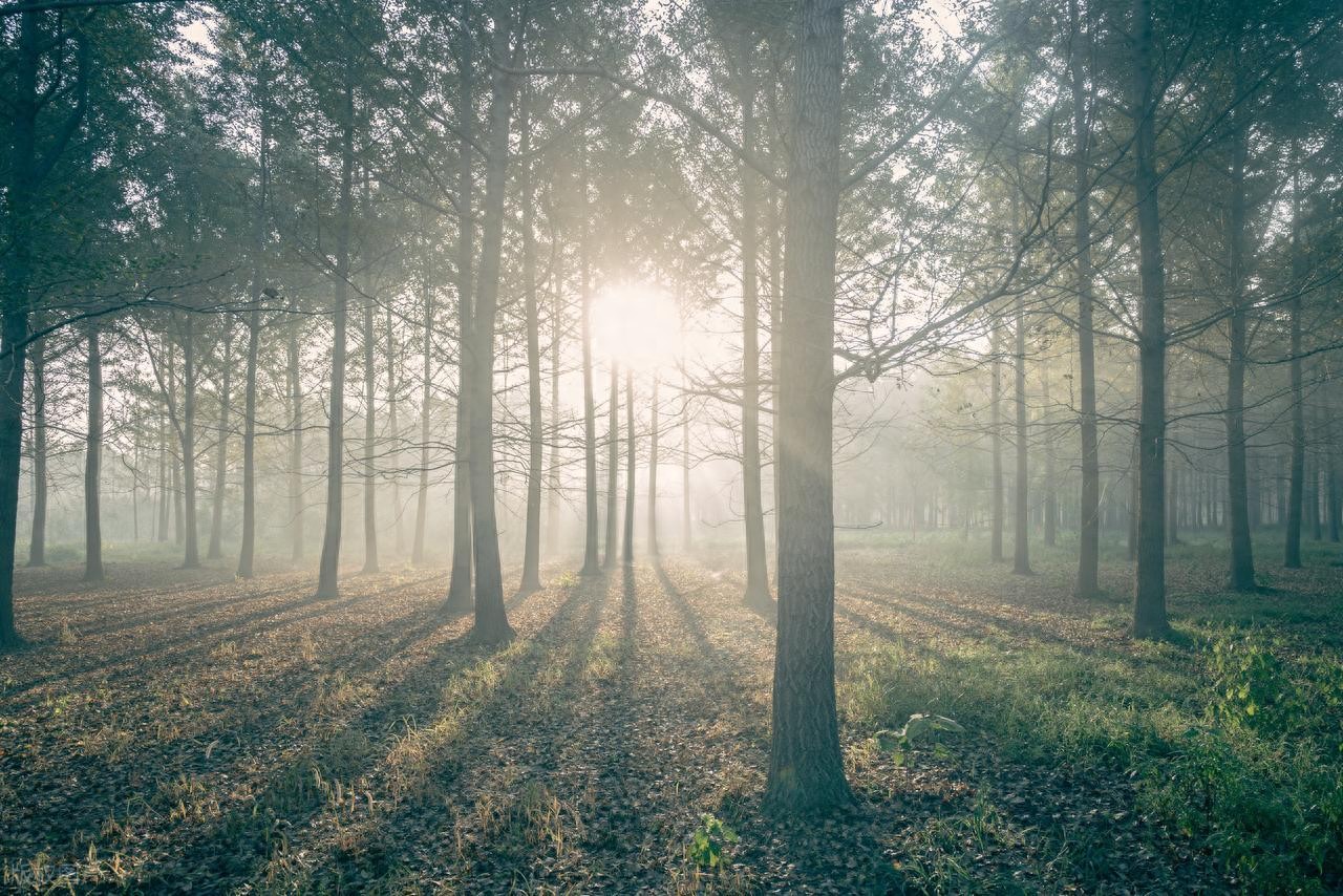 易语言进度条皮肤怎么做？一天上手教程