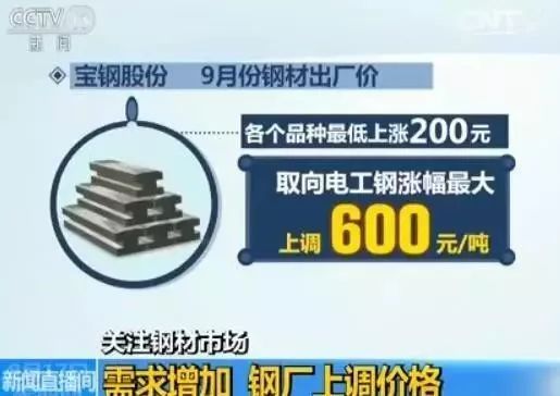 钢铁白菜价财经_白菜价格未来走势_白菜的价格走势