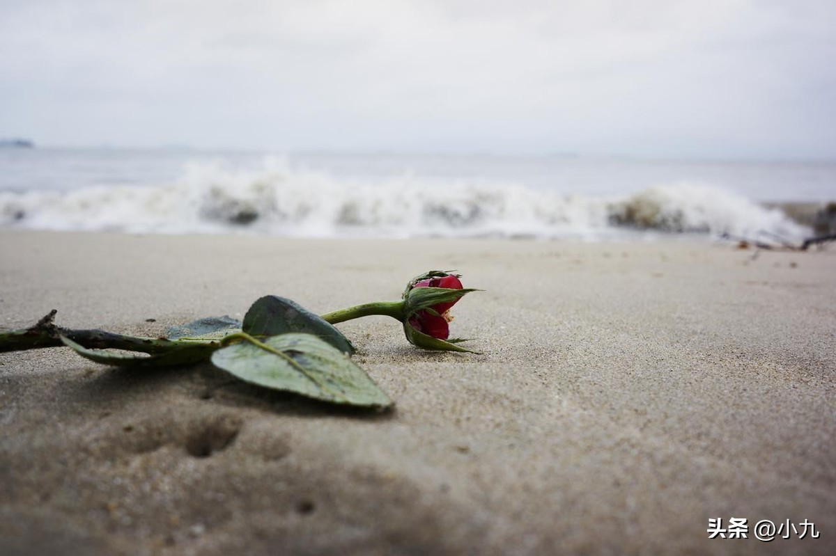 文章节奏_标点符号中圆点用法_长短句运用