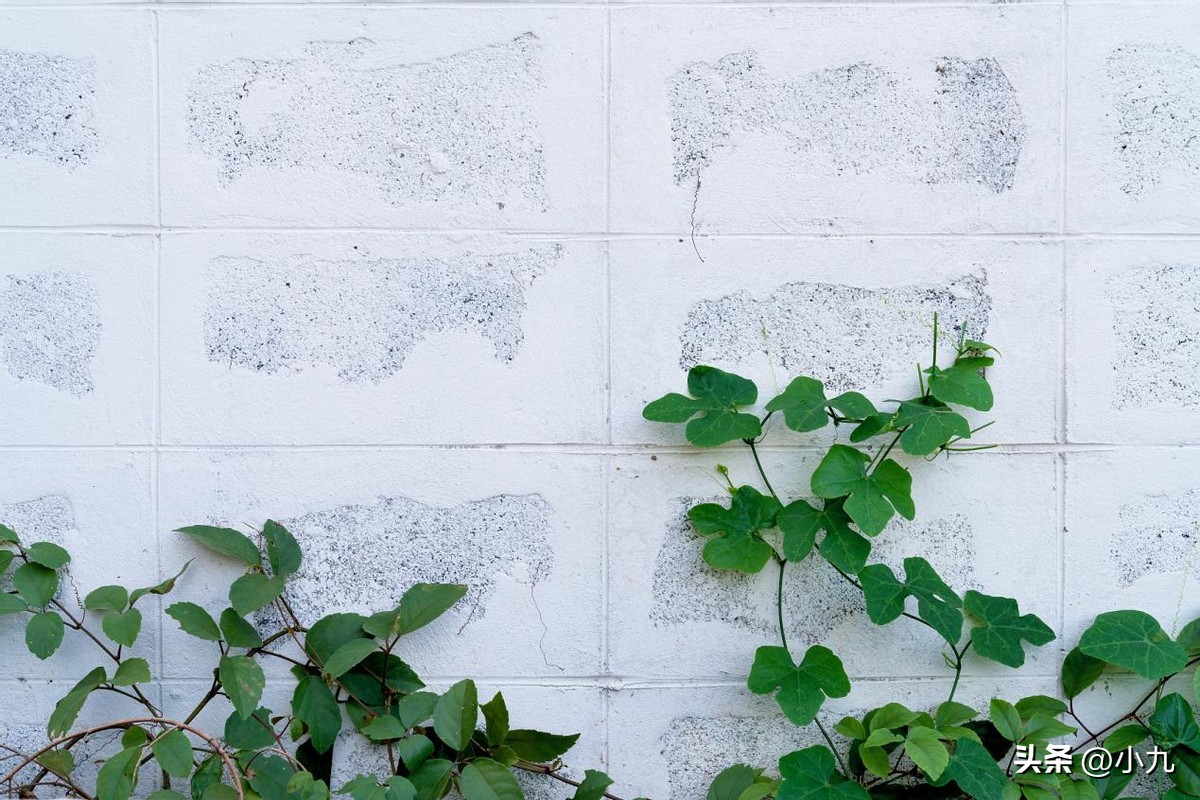 长短句运用_文章节奏_标点符号中圆点用法