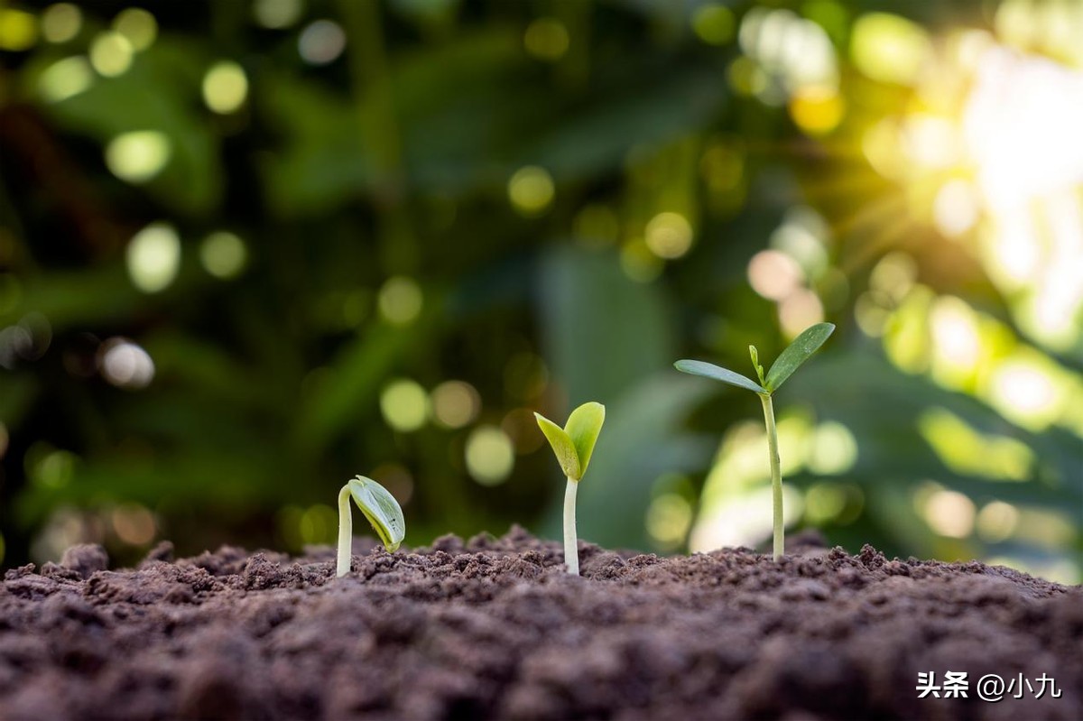 长短句运用_文章节奏_标点符号中圆点用法
