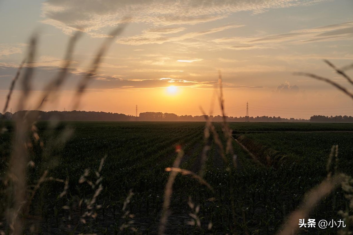 长短句运用_文章节奏_标点符号中圆点用法