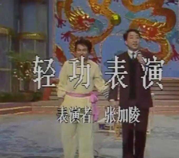 最差春节联欢晚会_春晚1985年最差评价_春晚历史评价最差