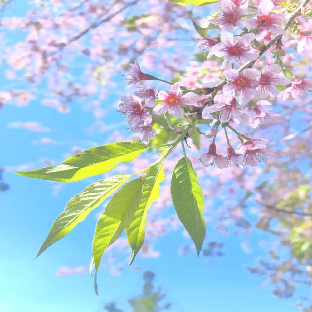 2025年你最满意的一张照片 征集活动 精选佳作_从飞机窗户拍照图片