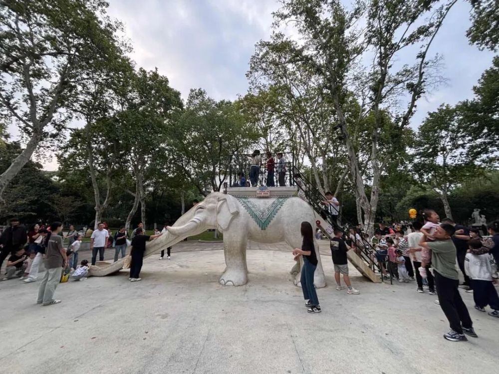 2025年你最满意的一张照片 征集活动 精选佳作_从飞机窗户拍照图片