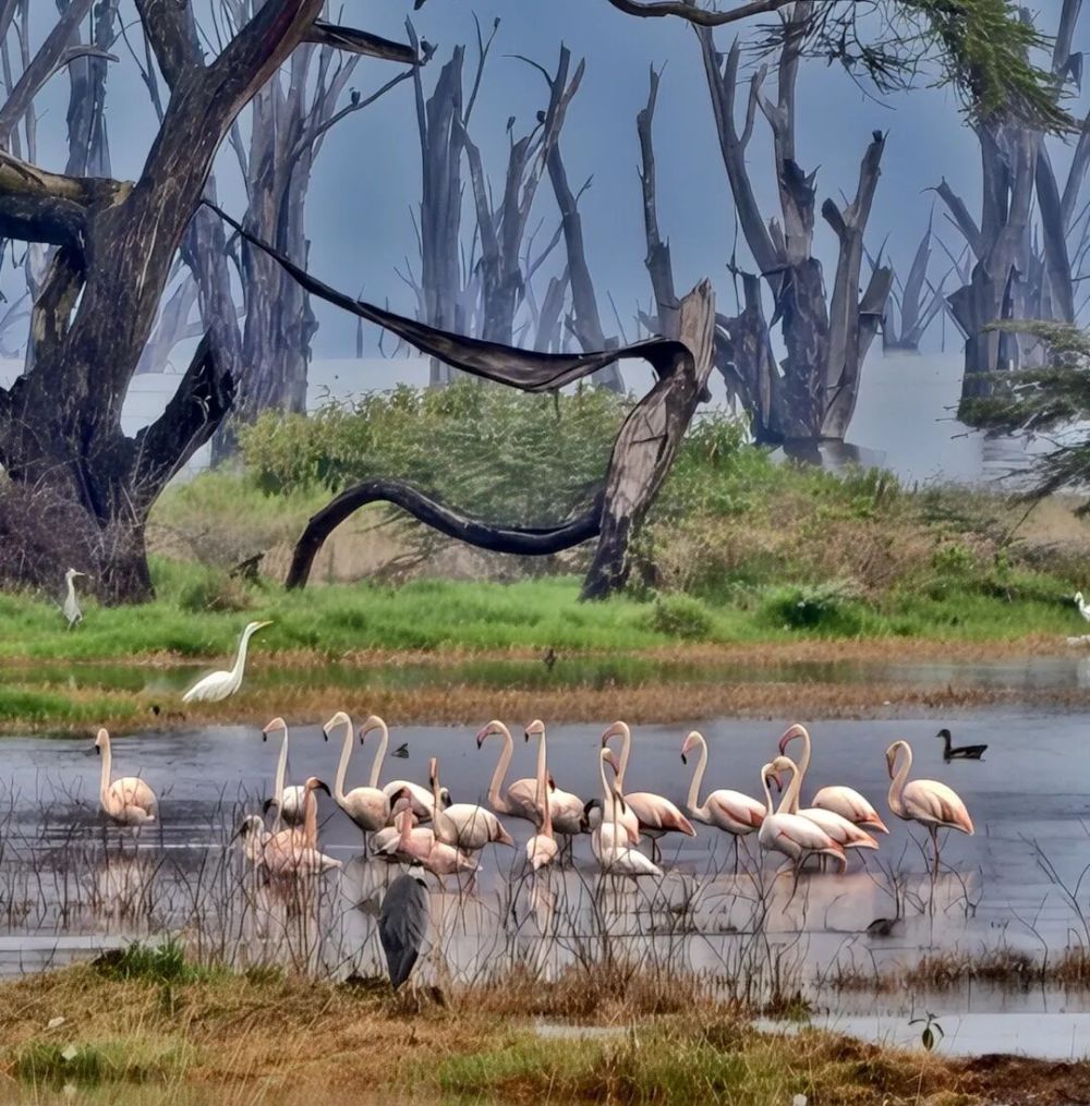 2025年你最满意的一张照片 征集活动 精选佳作_从飞机窗户拍照图片