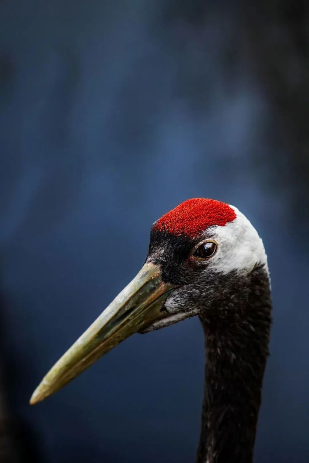 2025年你最满意的一张照片 征集活动 精选佳作_从飞机窗户拍照图片