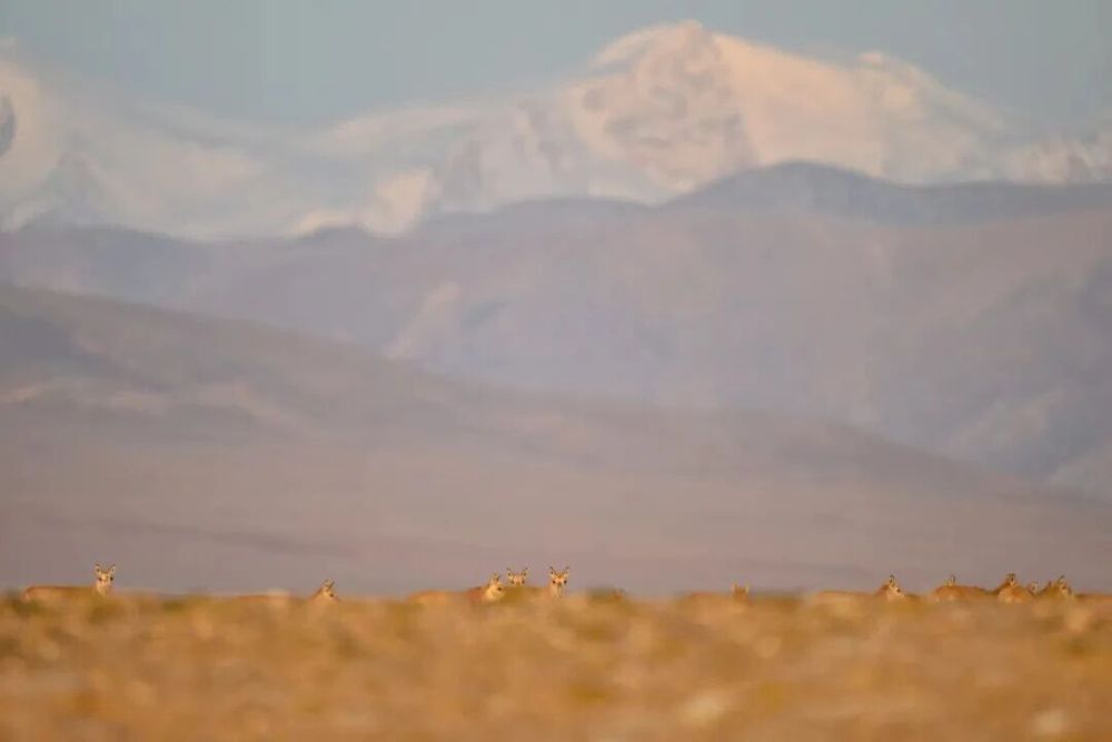 从飞机窗户拍照图片_2025年你最满意的一张照片 征集活动 精选佳作