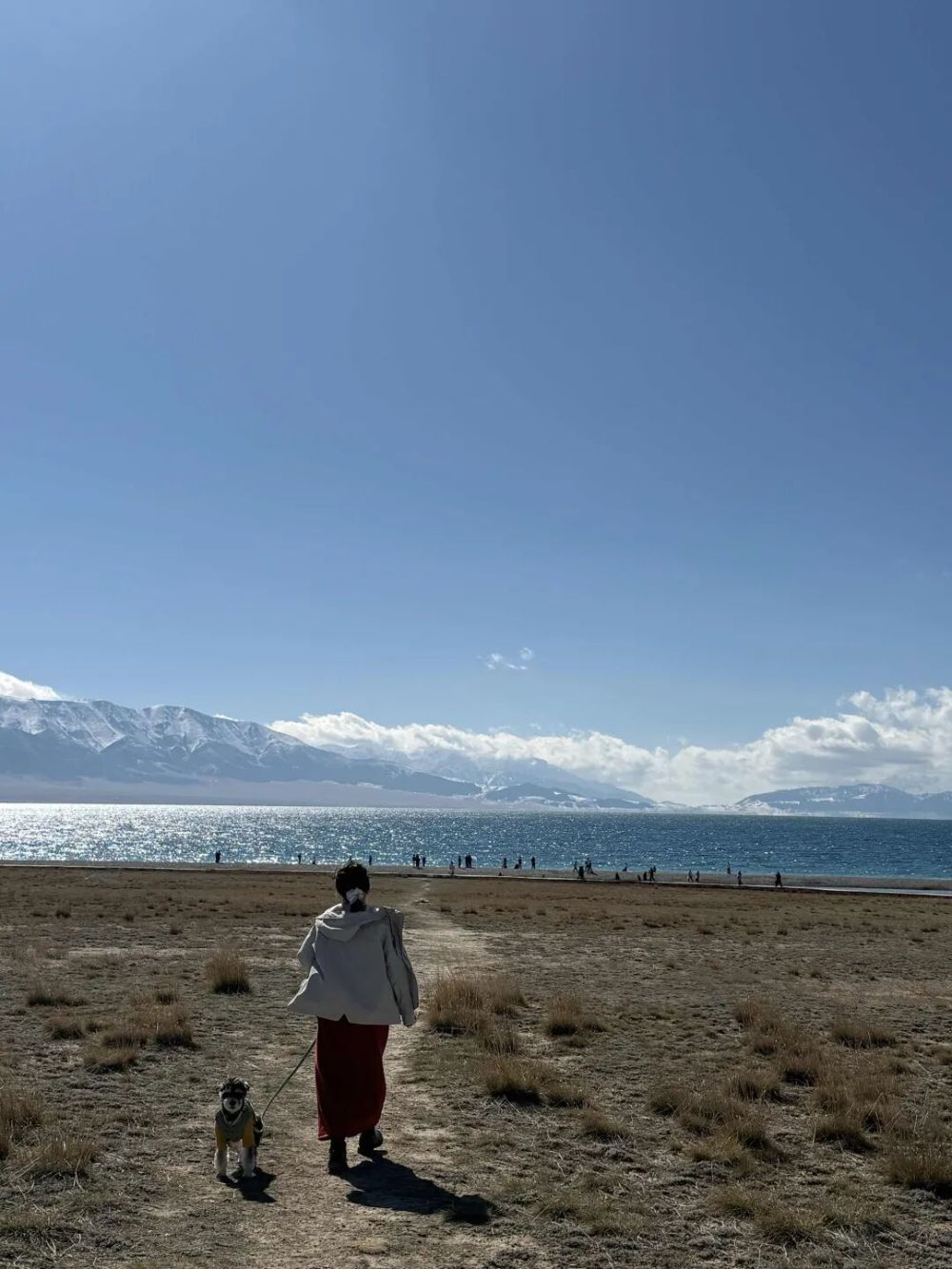 哪张照片，能定义你的2025年？先看看他们的答案