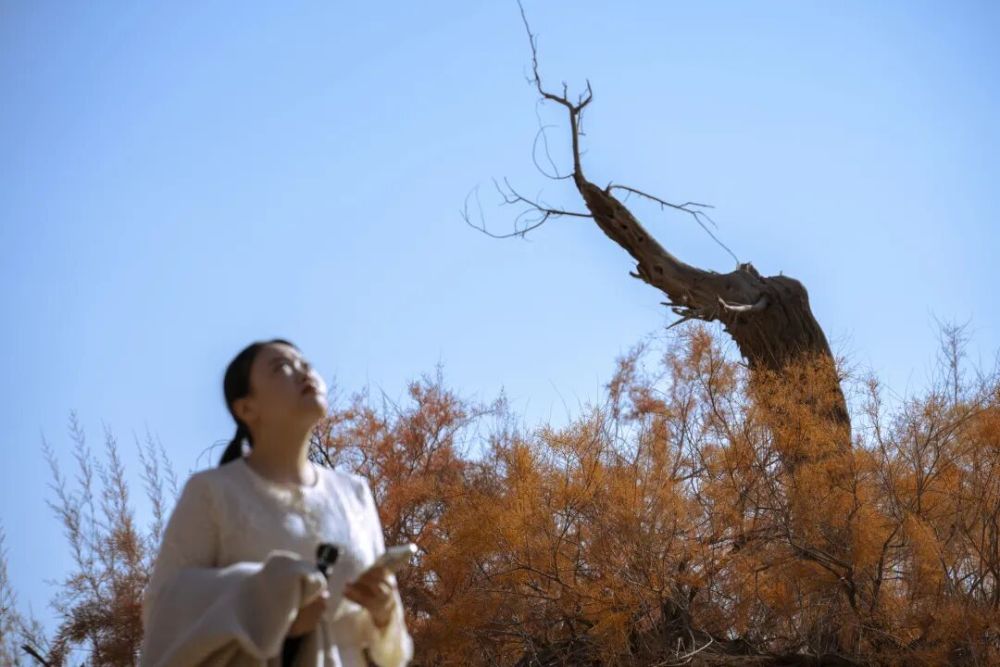 哪张照片，能定义你的2025年？先看看他们的答案