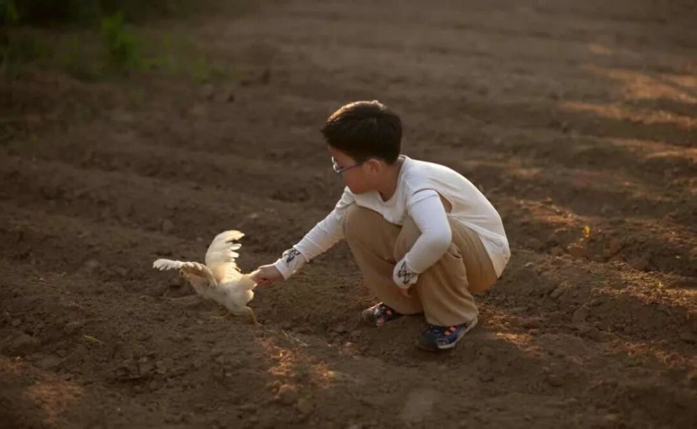 哪张照片，能定义你的2025年？先看看他们的答案