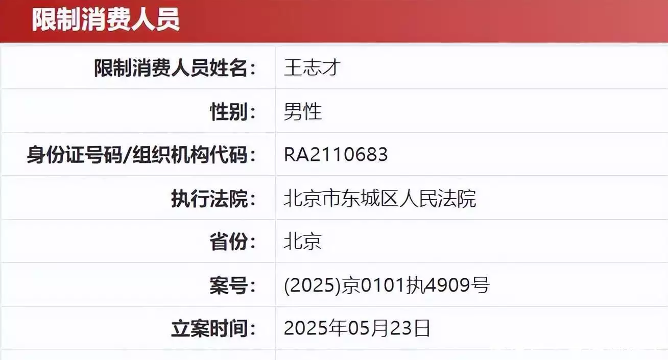 王艳老公王志才图片_王艳直播带货销售额_王艳富豪丈夫已被限消