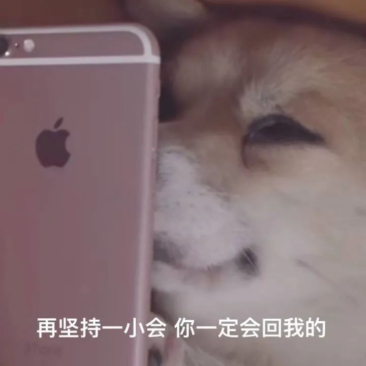 如何识别备胎关系_备胎 多长时间 充气_备胎关系特点