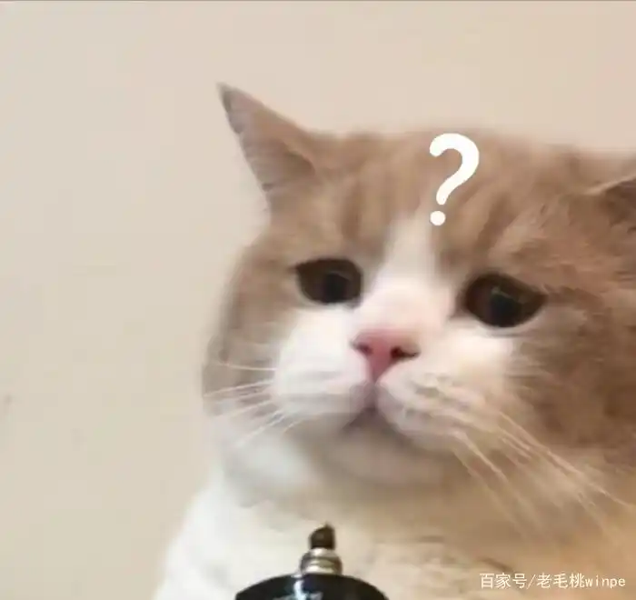 U盘出现文件或目录损坏提示？教你软件问题修复方法