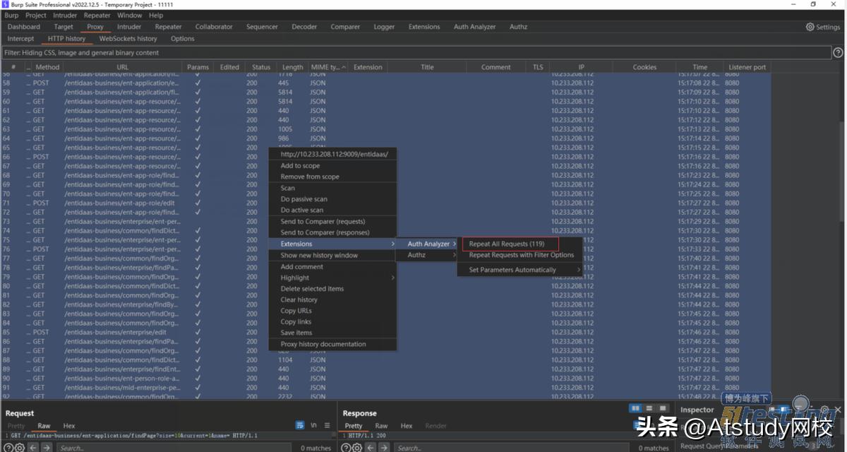 网站用burpsuite抓不到包_Burp Suite Auth Analyzer插件_接口越权测试
