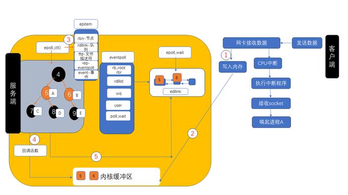 epoll网络编程实战：告别select瓶颈，轻松处理高并发