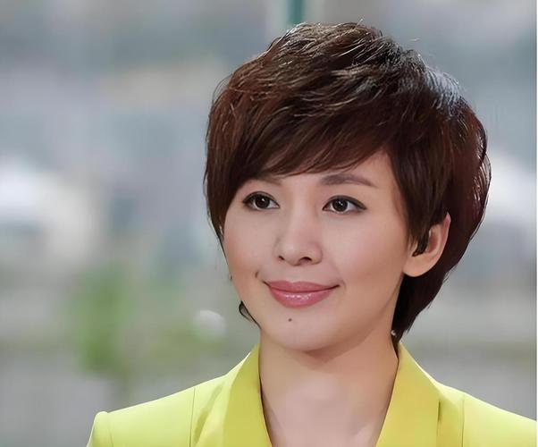 欧阳夏丹不主持新闻联播了吗_欧阳夏丹 主持生涯 48岁不婚不育