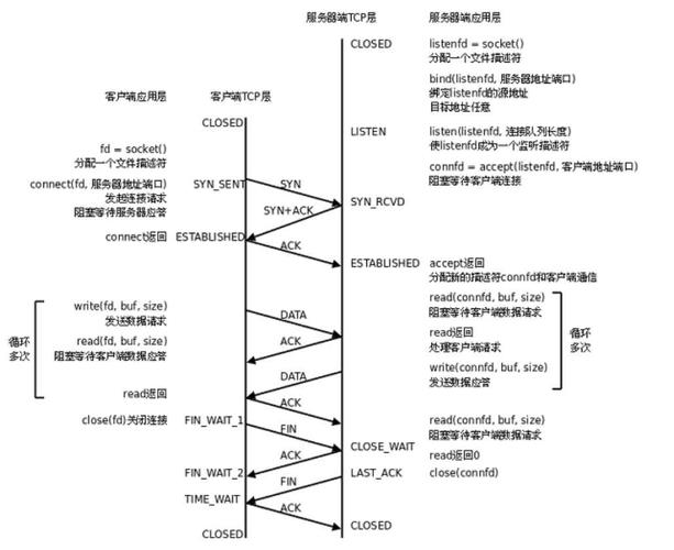 goev网络框架设计原理_epoll 网络编程_go语言goev网络框架TCP网络编程