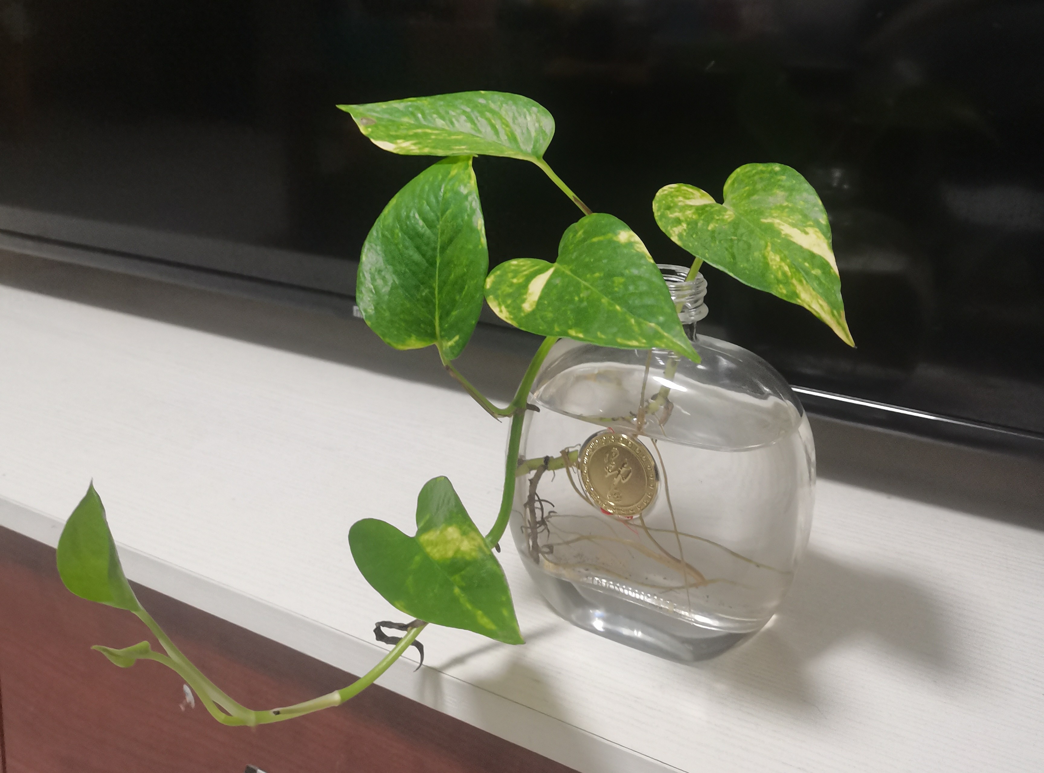 手机定位防泄露：关掉微信这个开关，别人就找不到你