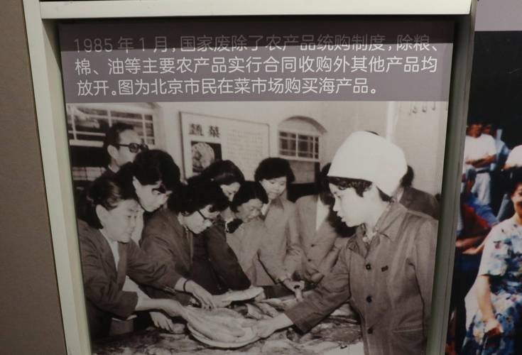 林毅夫 游泳归国 新结构经济学_中国高层经济智囊