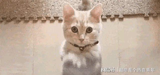 欧阳夏丹不主持新闻联播了吗_欧阳夏丹 央视 国脸 主持人 离开央视 原因 欧阳夏丹 近况 生活 短视频 李思思 家庭原因 转型 欧阳夏丹 旅行