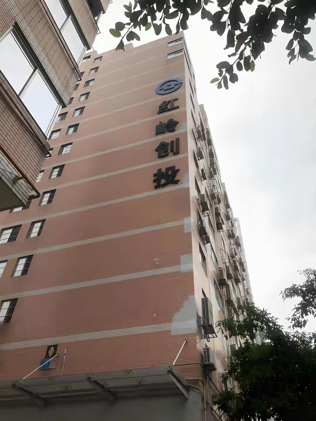 红岭创投第一次退赔登记 深圳数字法庭 首批10亿退赔_红岭创投 分公司