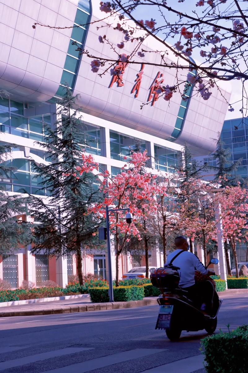 昆明市云南省财经学校_云南财经大学2025年招生信息_云南财经大学2025年本科招生人数