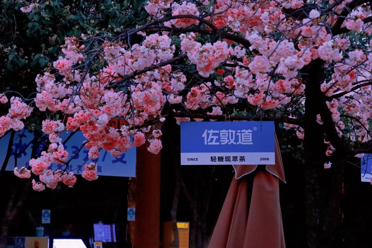 云南财经大学2025年招生信息_昆明市云南省财经学校_云南财经大学2025年本科招生人数