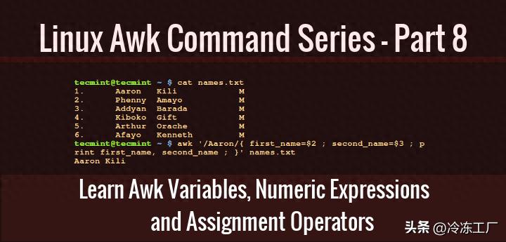 Awk变量用法详解：linux与shell编程指南