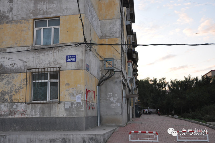 阿城涤纶厂发展历程_龙涤厂历史沿革_龙涤股份最新消息
