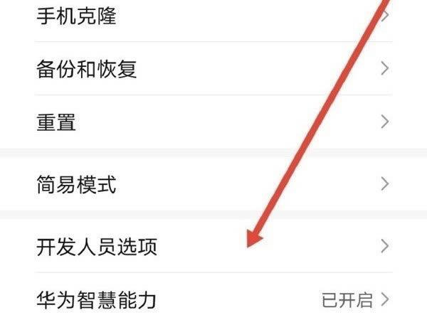 手机卡顿原因_安卓开发者选项密码_安卓手机后台开关关闭教程