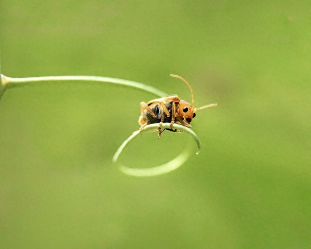 男生撩你是真心还是试探？3个心理动机帮你避开短择